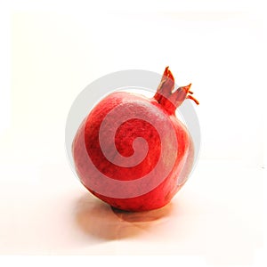 Pomegranade in white