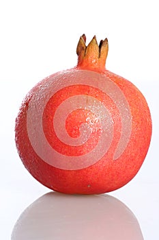 Pomegranate photo