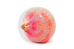 Pomegranate