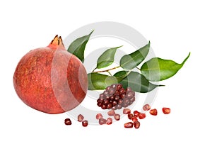 Pomegranate and arils