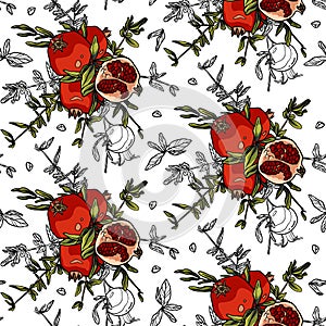 Pomegranate branch. Seamless pattern. Red ripe fruit with outline elements on white background