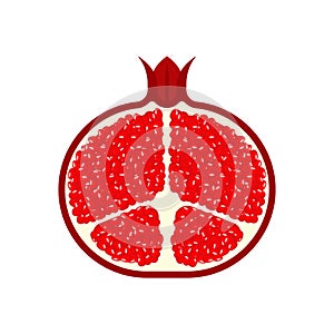 Pomegranate cut fresh juicy fruit isolated. Vector illustration