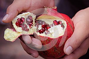 Pomegranate deseed