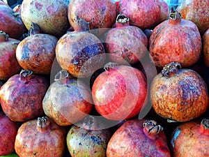 Fruit Pomegranate also known as anar in the Pakistan subcontinent photo