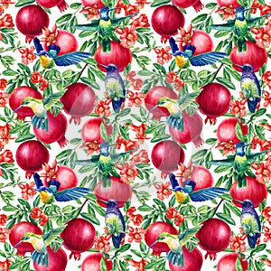 Pomegranate fruit, Flowers and birds hummingbird Watercolor botanical illustration. Seamless pattern