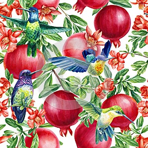Pomegranate fruit, Flowers and birds hummingbird Watercolor botanical illustration. Seamless pattern