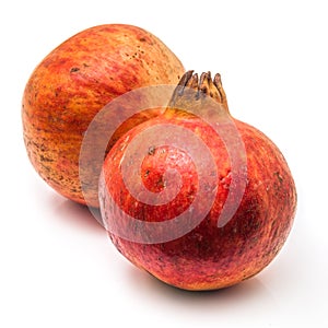 Pomegranate fruit , Punica granatum
