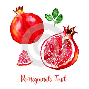 Pomegranate fruit red pink watercolor set images. Bright hand painted ripe isolated on white background. Collection in