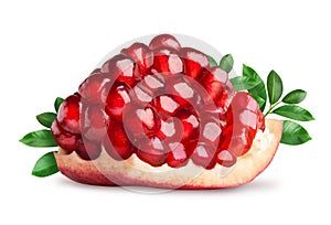 Pomegranate fruit segment isolated