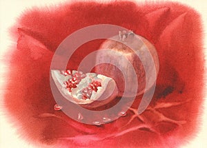 Pomegranate fruit watercolor