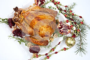 Pomegranate Glazed Roasted Turkey on White