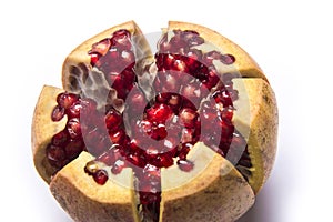 Pomegranate or granet open