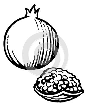 Pomegranate. Hand drawing. Set: whole and cut half. Monochrome black and white drawing. Ripe tasty exotic fruit - pomegranate. Fel