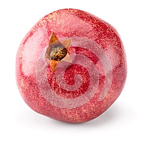 pomegranate isolated on a white background. clipping path