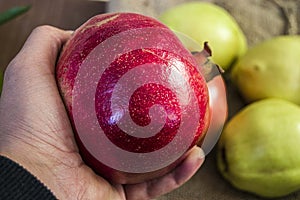 Pomegranate paintings, pictures of natural organic pomegranate fruit,