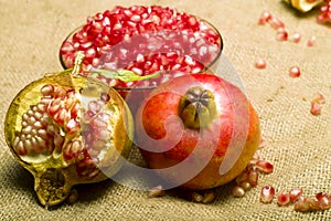 Pomegranate (Punica granatum) photo