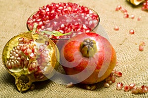 Pomegranate (Punica granatum)