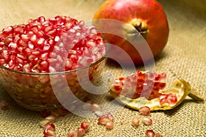 Pomegranate (Punica granatum) photo