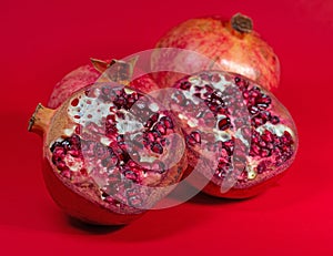 Pomegranate, Punica granatum, in close-up view