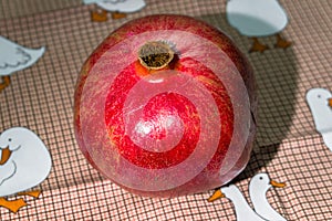 Wholesome ripe pomegranate fruit in red scabrous peel.