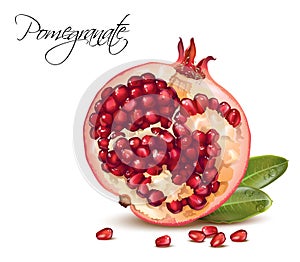 Pomegranate realistic illustration