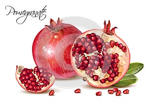 Pomegranate realistic illustration