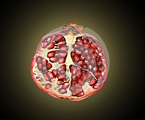 Pomegranate section