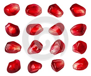 Pomegranate seed collection isolated