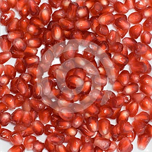 Pomegranate Seeds photo