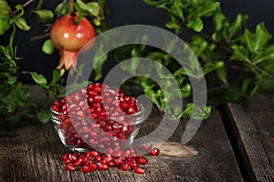 Pomegranate Seeds Hanging Whole Fruit