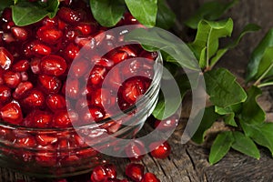 Pomegranate Seeds Leaves