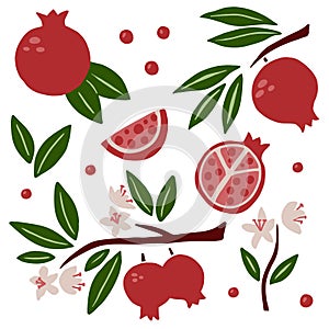 Pomegranate set. Exotic tropical red fresh fruit, whole juicy pomegranates with green leaves and flowers, slice and seeds, vector