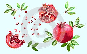 Pomegranate set with leaves , half pomegranate and seeds splash food design. Isolated pomegranate elements on light photo