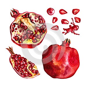 Pomegranate. Set of pomegranate fruits. Whole, cut and pomegranate kernels. Watercolor illustration.