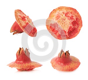 Pomegranate skin's top isolated