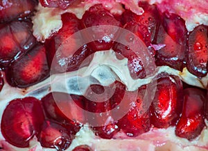 Pomegranate Teeth photo