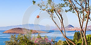 Pomegranate on a tree branch against the backdrop of a beautiful view of the Aegean coast with amazing blue water and islands