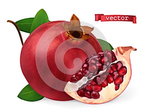 Pomegranate vectorized image. Fresh fruit. 3d realistic vector icon