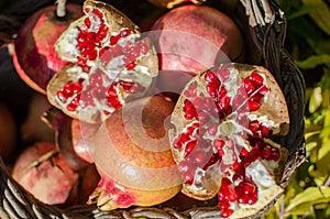 Pomegranates in the basket, seasonal fruit. photo