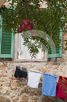 Pomegranates and colored cloths