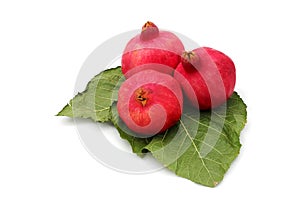 Pomegranates on green leaves symbols of the Jewish new year (Rosh HaShana)