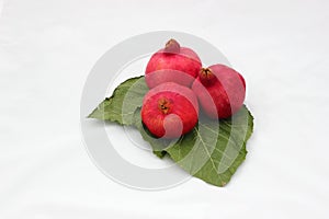 Pomegranates on green leaves symbols of the Jewish new year (Rosh HaShana)