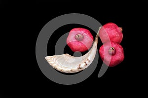 Pomegranates and a horn symbols of the Jewish new year (Rosh HaS