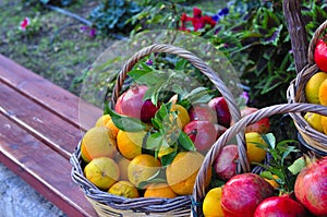 Pomegranates and oranges