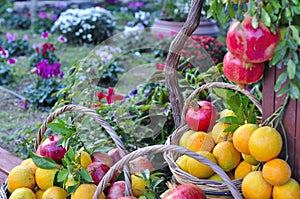 Pomegranates and oranges