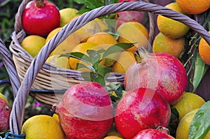 Pomegranates and oranges