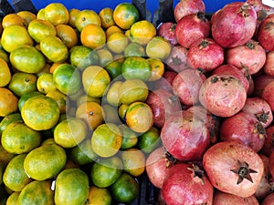 Pomegranates Packed in Shipping Crate