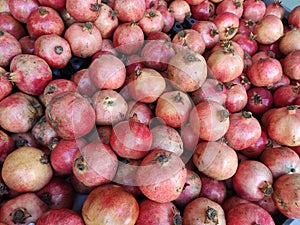 Pomegranates Packed in Shipping Crate