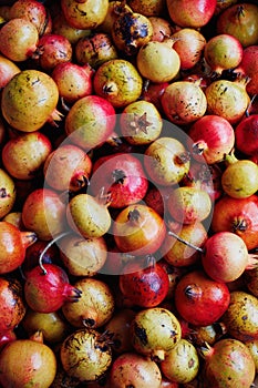 Pomegranates Packed in Shipping Crate