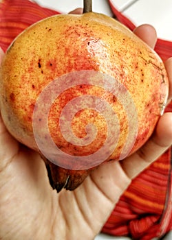 Pomegranates are red and orange